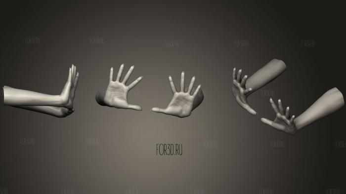 Female Hands 19
